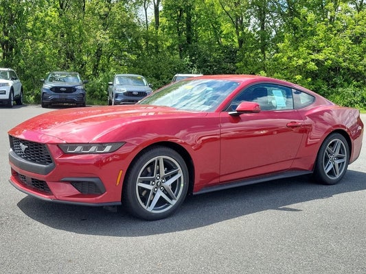 2024 Ford Mustang EcoBoost in Rising Sun, MD - Ourisman Tri-State Ford